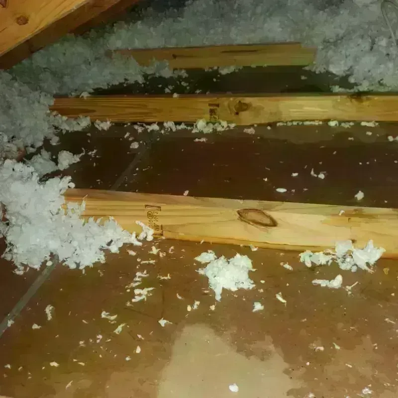 Attic Water Damage in Bloomingdale, GA